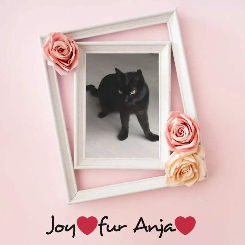 Andachtsbild von Anja mit Joy im Herzen ❤