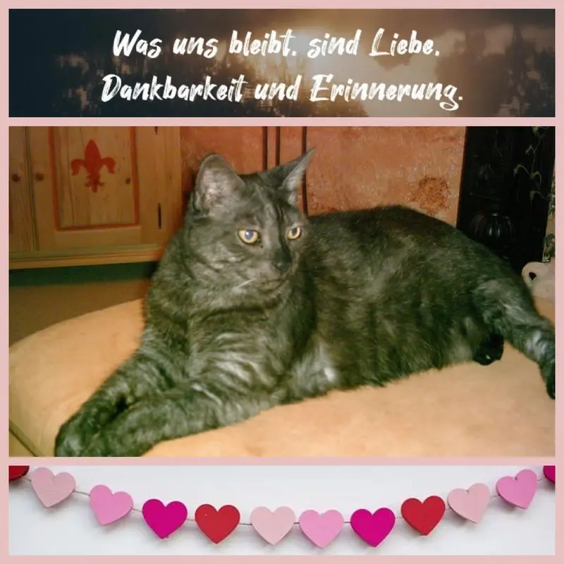 Andachtsbild von Anja mit Joy im Herzen