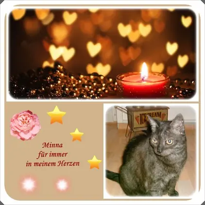 Andachtsbild von deiner Ilse in Liebe zum 172. Gedenkmonat