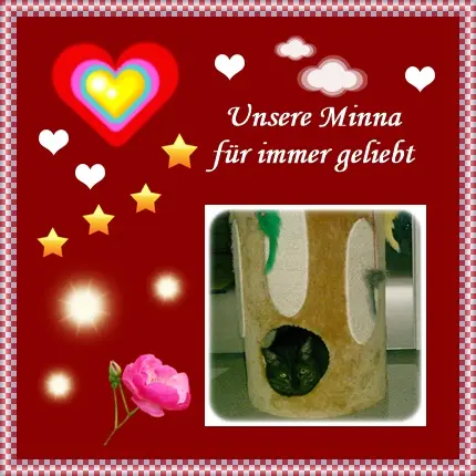 Andachtsbild von deiner Ilse in Liebe zum 205. Monatsgedenken