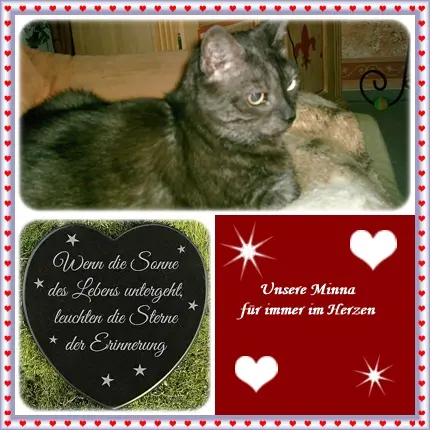 Condolence image of deine Ilse zum 207. Monatsgedenken