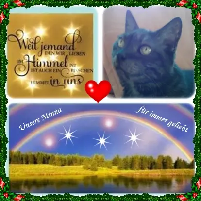 Condolence image of deine Ilse in Liebe zum 208. Monatsgedenken