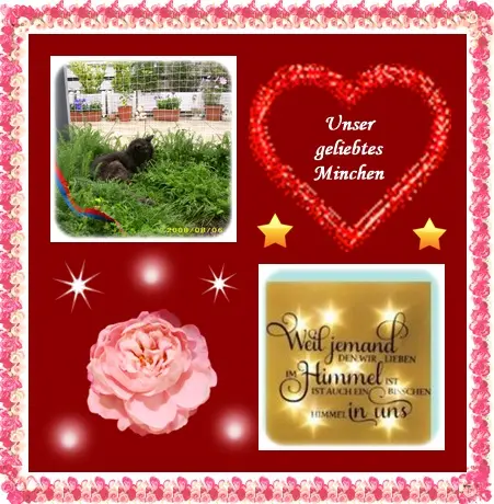 Condolence image of Deine Ilse in Liebe zum 210. Monatsgedenken