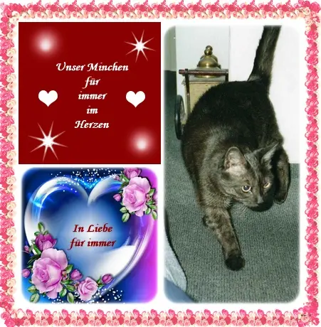 Condolence image of Deine Ilse in Liebe zum 211. Monatsgedenken