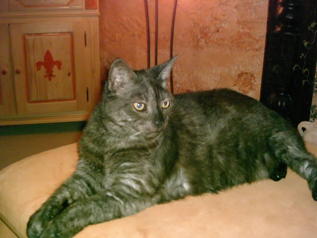 Bild von Minna
