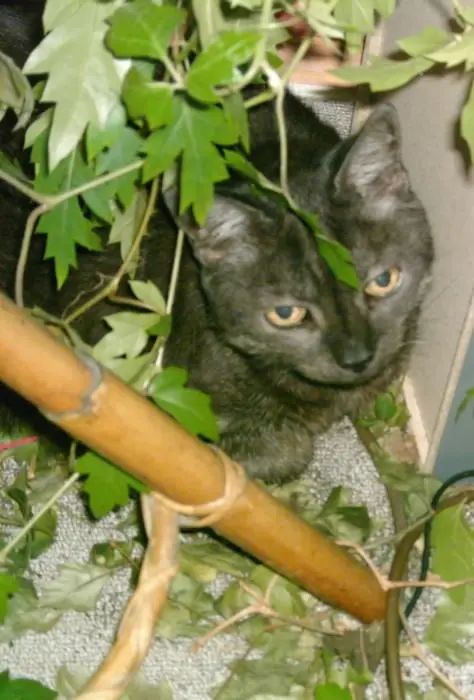 Bild von Minna