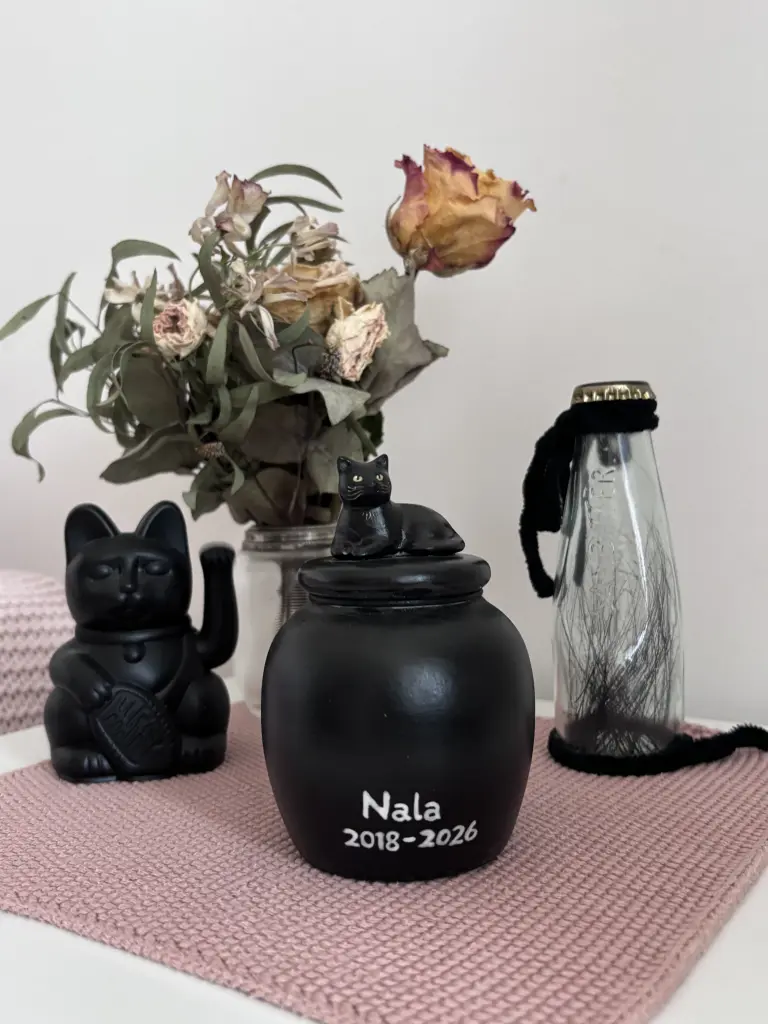Image from Nala