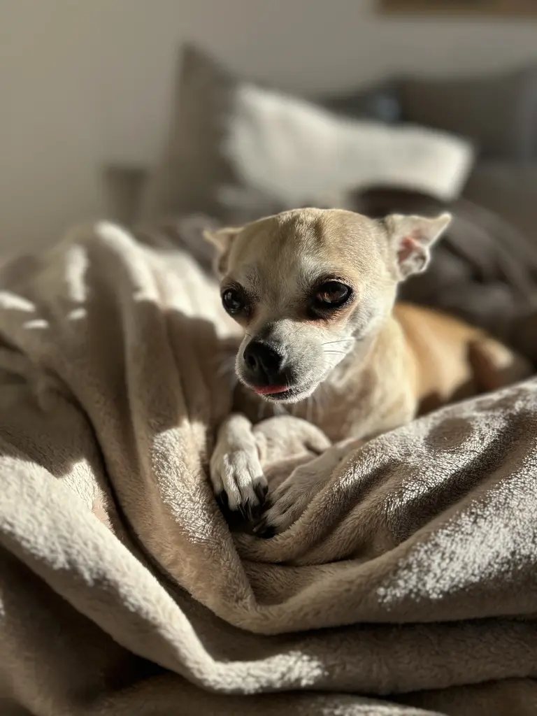 Bild von Frieda