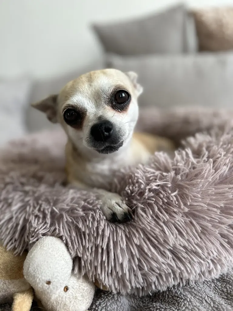 Bild von Frieda