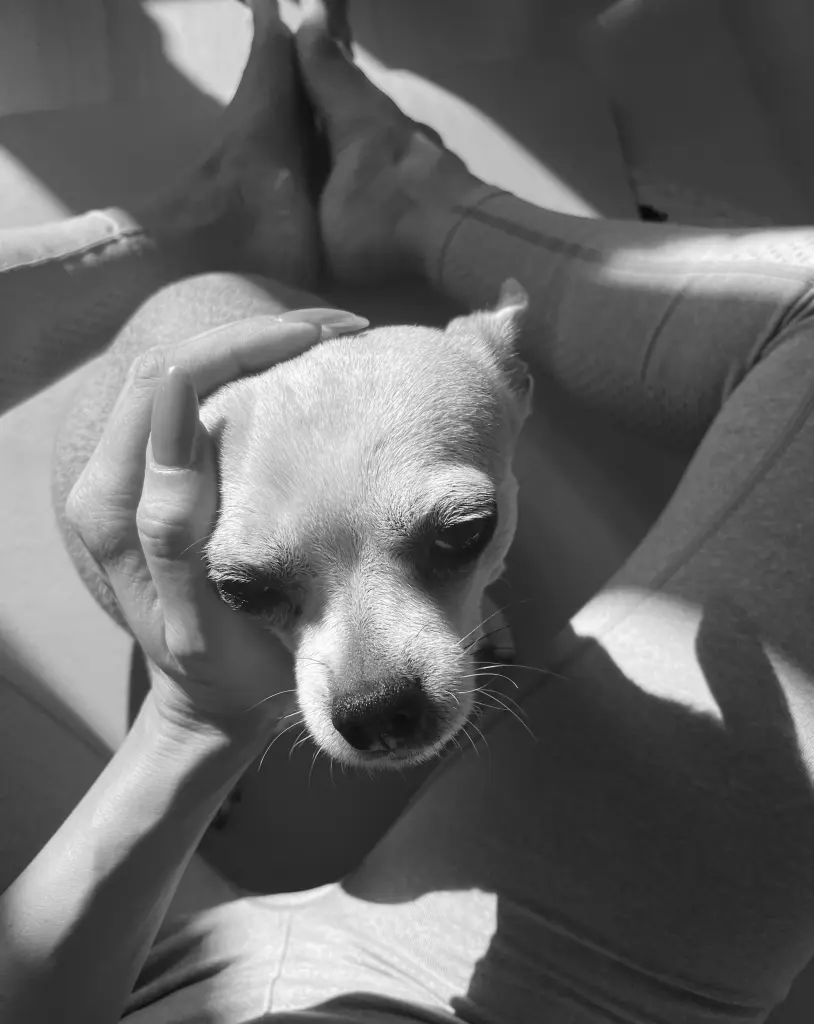 Bild von Frieda