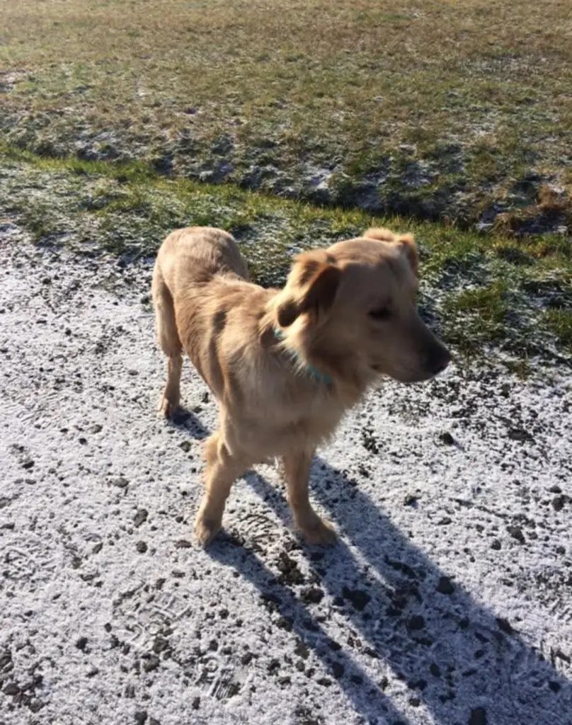 Ich werde dich Immer Lieben mein kleines Herznässchen🥺🤍