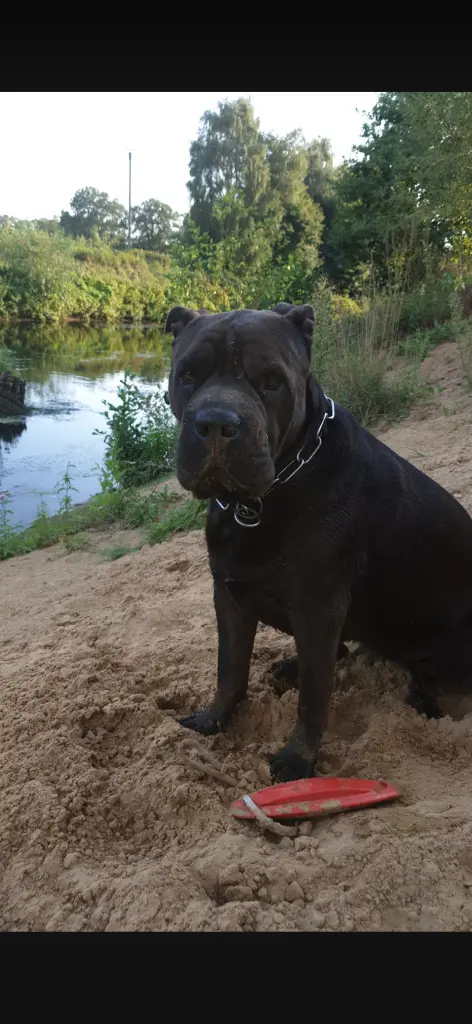 Bild von Betty