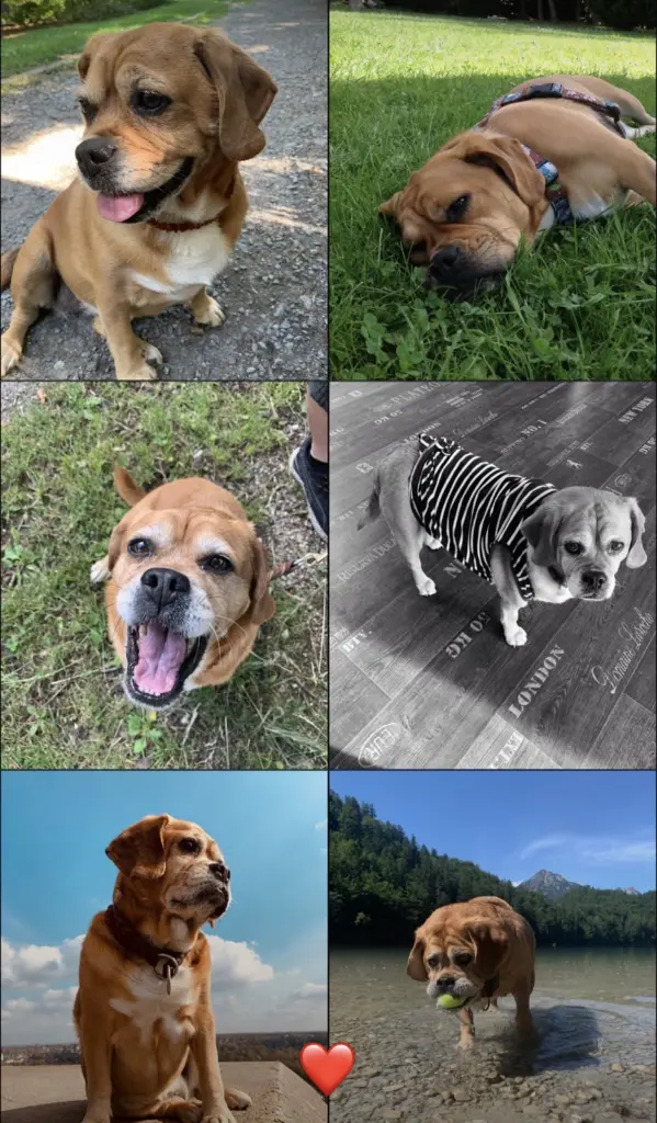 Bild von Lucy