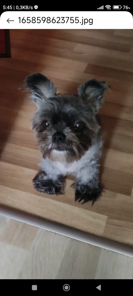 Süssssss🥰😍😘