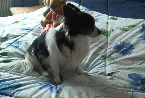 Image from meine kleine Mütze