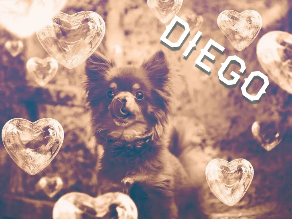 Image from Diego