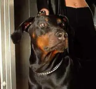 Condolence image of Simone