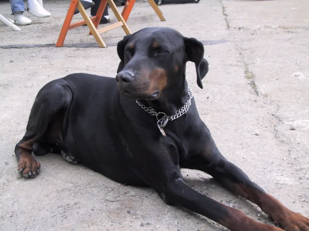 Condolence image of Simone