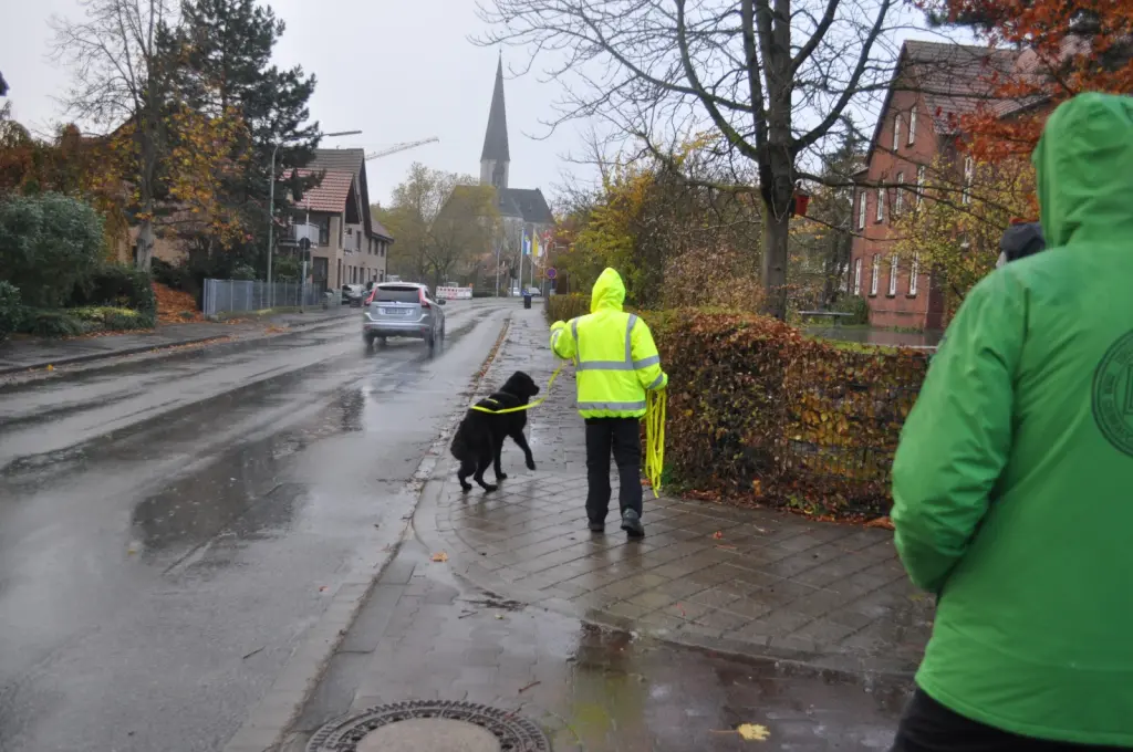 Bild von Cayenne