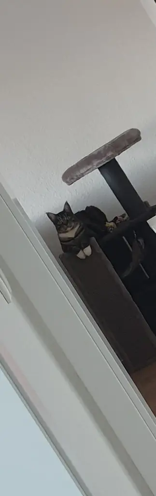 Bild von Max