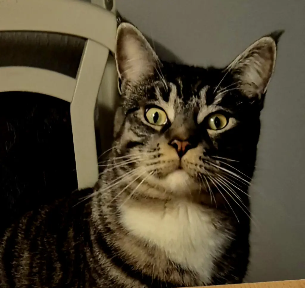 Max