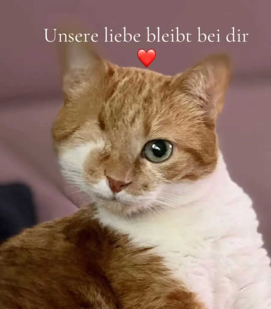 Bild von Goldy