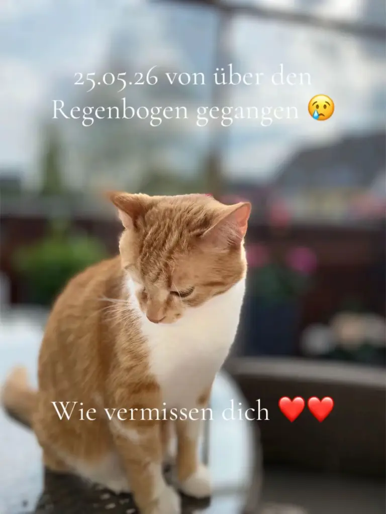 Bild von Goldy
