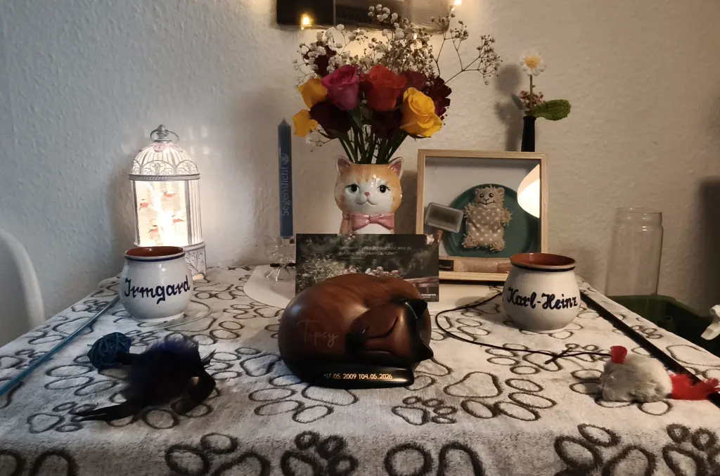 Image from Tipsy