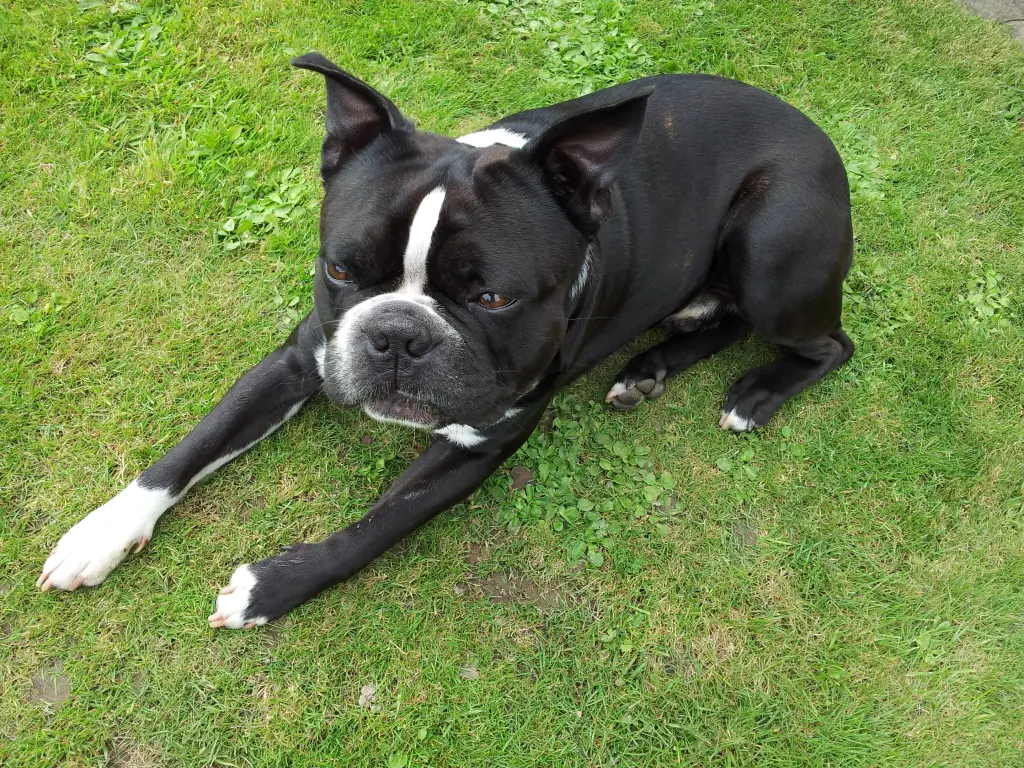 Bild von Lucky