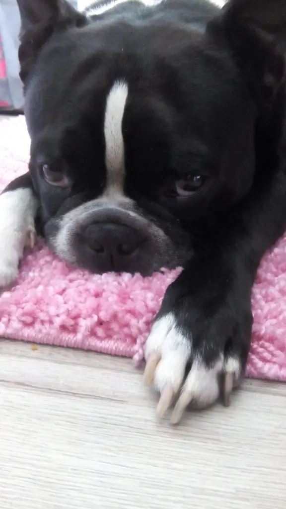 Bild von Lucky