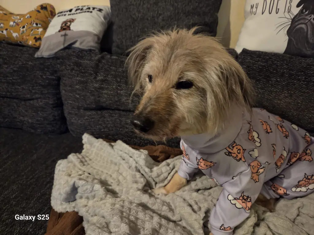 Condolence image of Joachim Bentz
