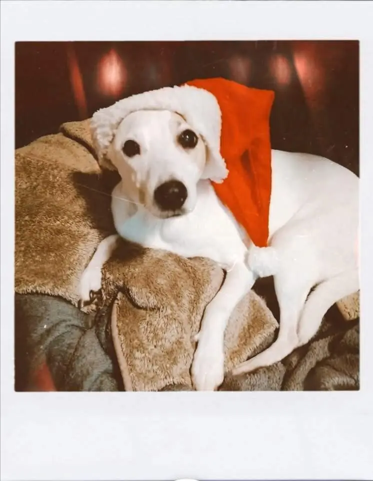 Condolence image of Jazzy