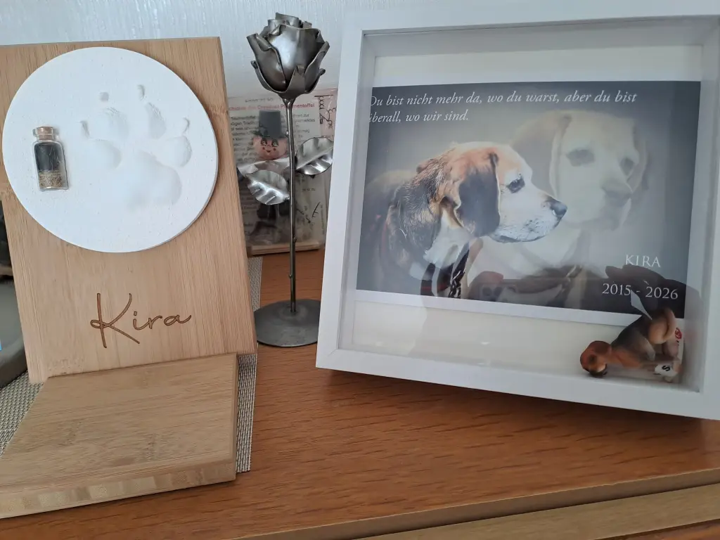 Image from Kira