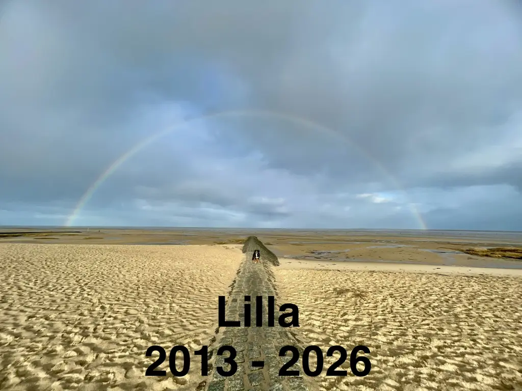 Image from Lilla