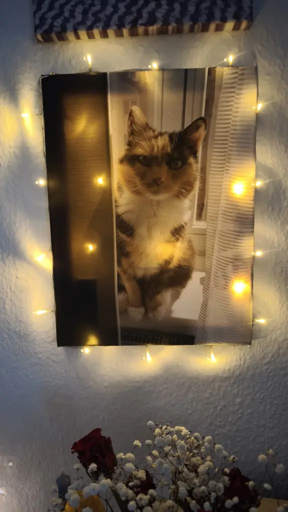 Condolence image of Evelyn mit Tipsy im Herzen