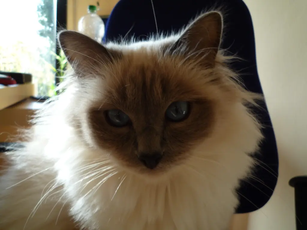 Bild von Bonny