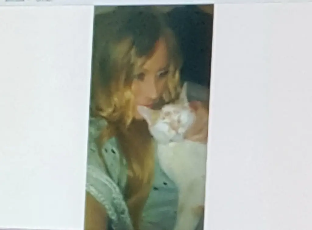 Image from Kitty