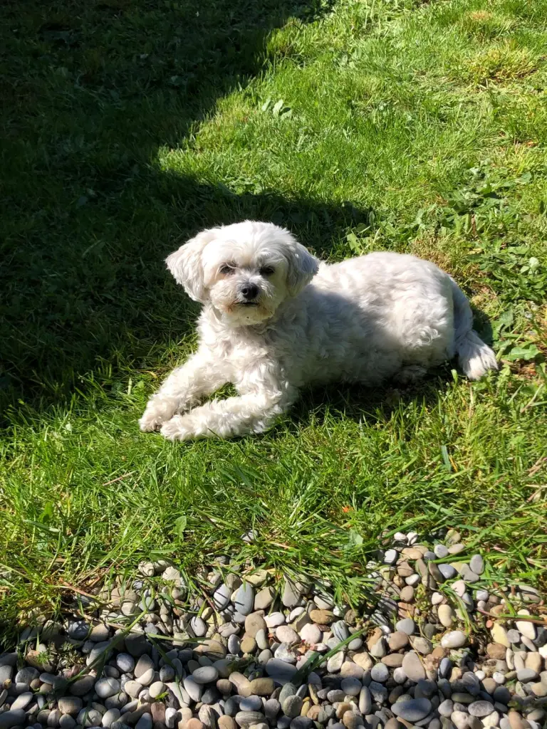 Bild von Mandy