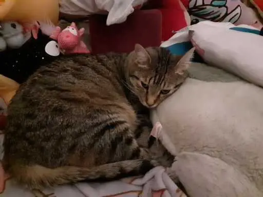 so cute!