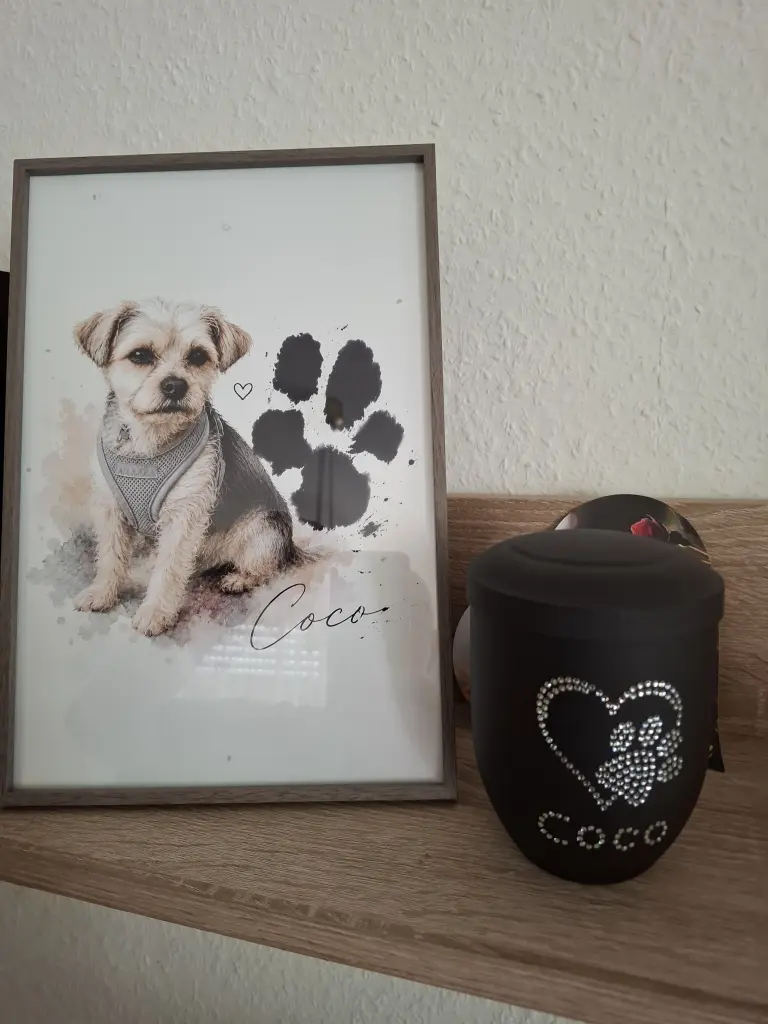 Image from Coco