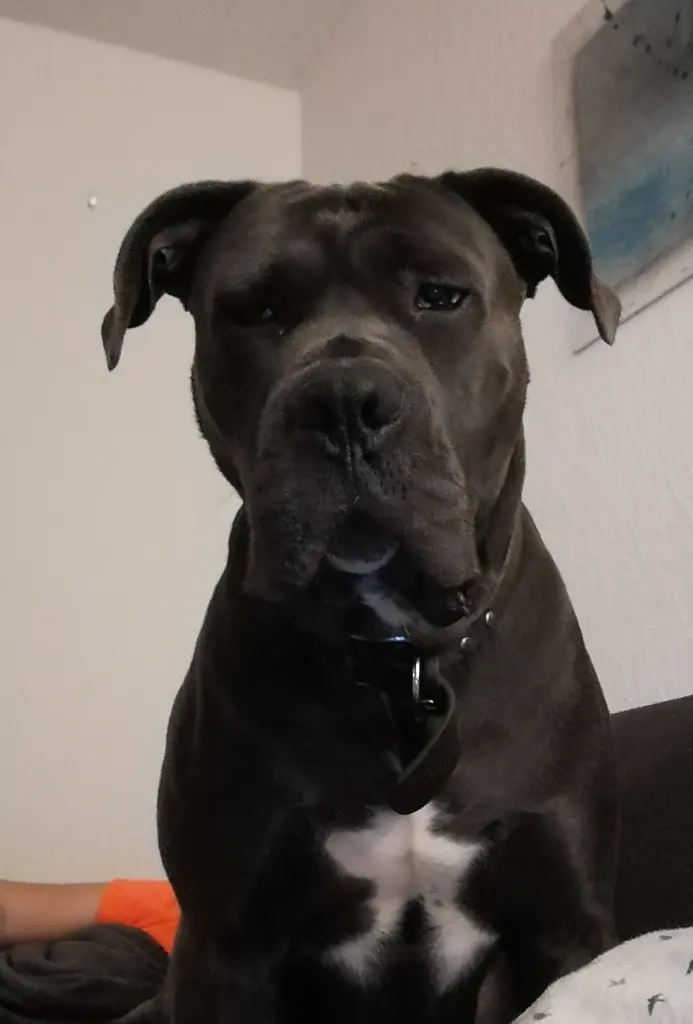 Condolence image of Sabrina