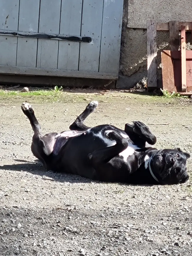 Waska in der Sonne