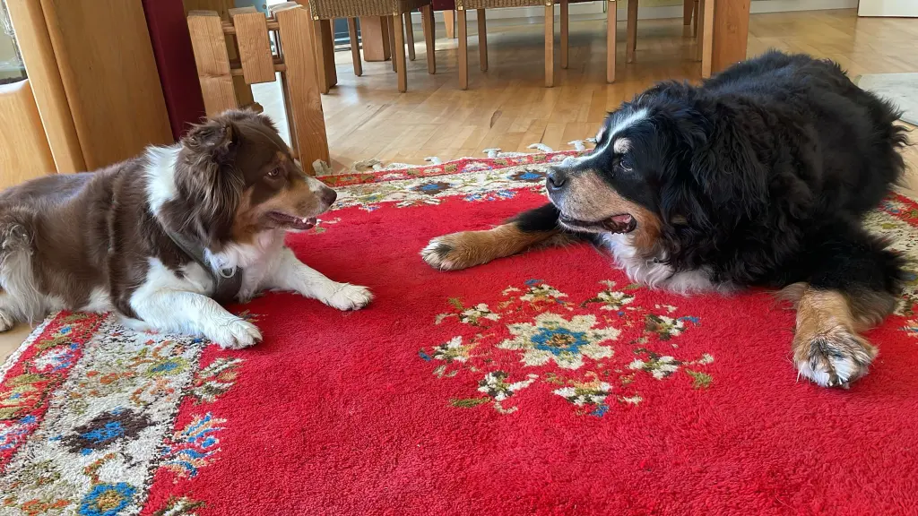 Condolence image of May und Mia