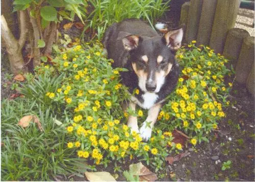 Image from Hubert  ( 30.05.1996 - 23.10.2012)