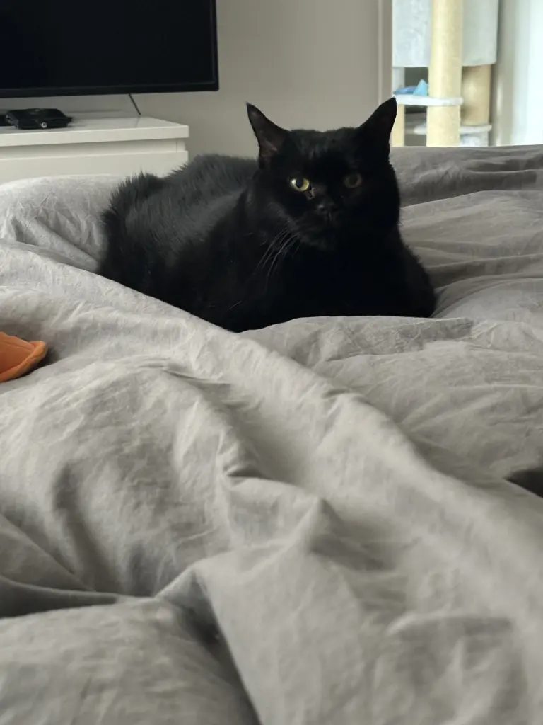 Image from Elmo