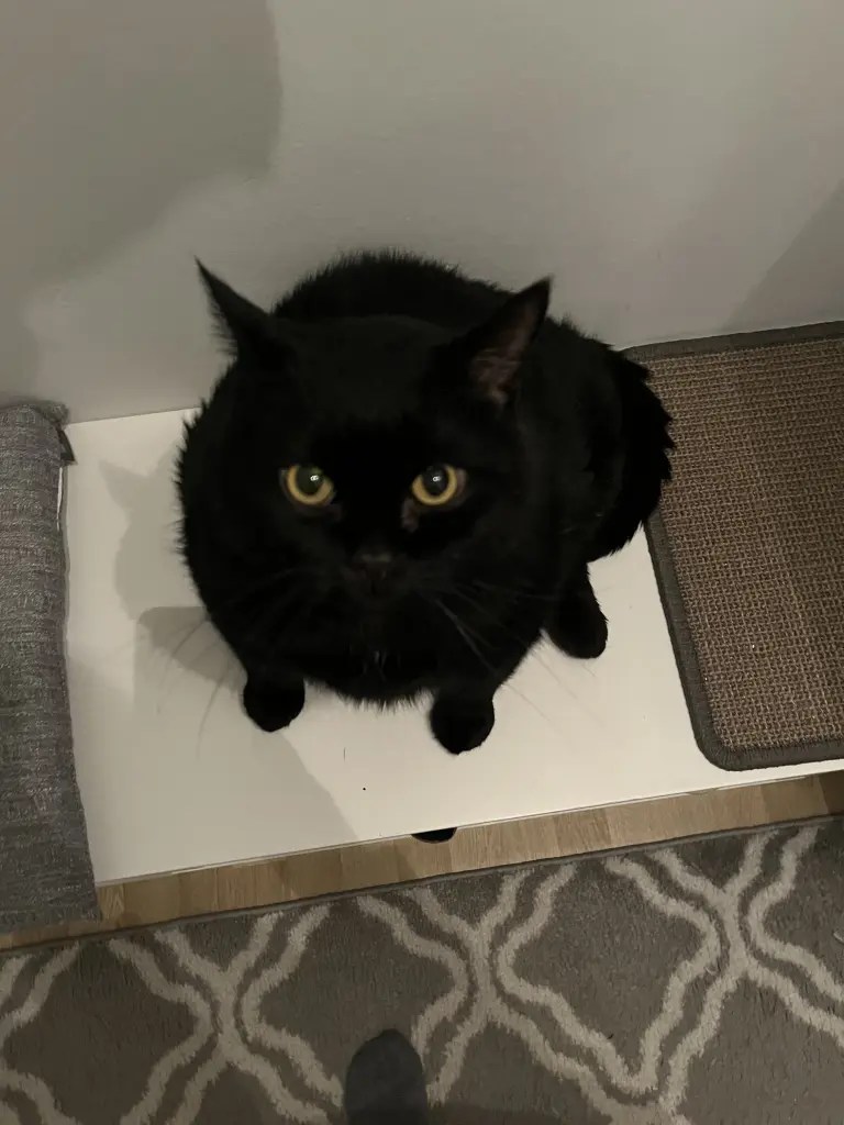 Image from Elmo