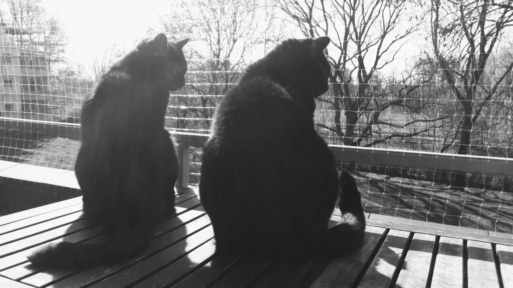 Bild von Maja