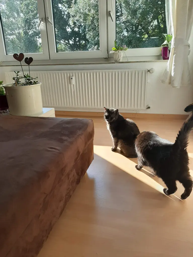 Bild von Maja