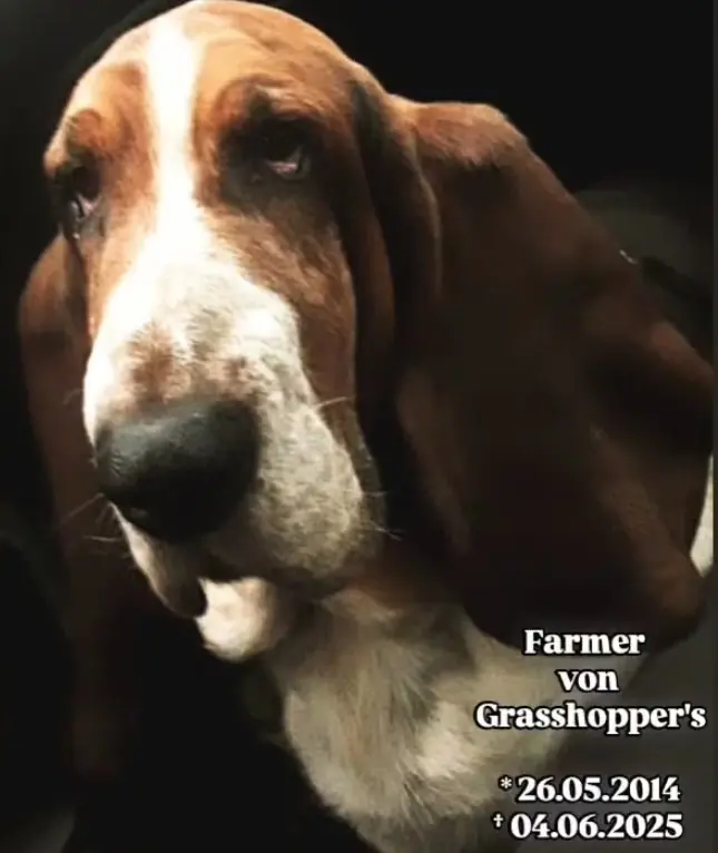 Bild von Farmer
