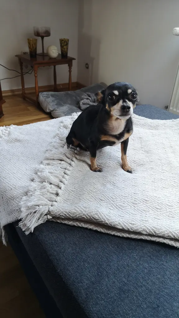 Mit dem Blick hast du alles bekommen